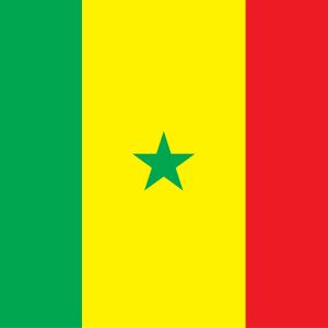 Acheter Base de Données Emails de Particuliers Sénégal de 1,250,000 emails