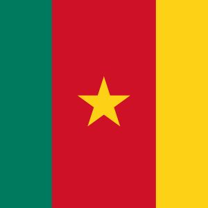 Acheter Base de Données Emails de Particuliers Cameroun de 680 000 emails